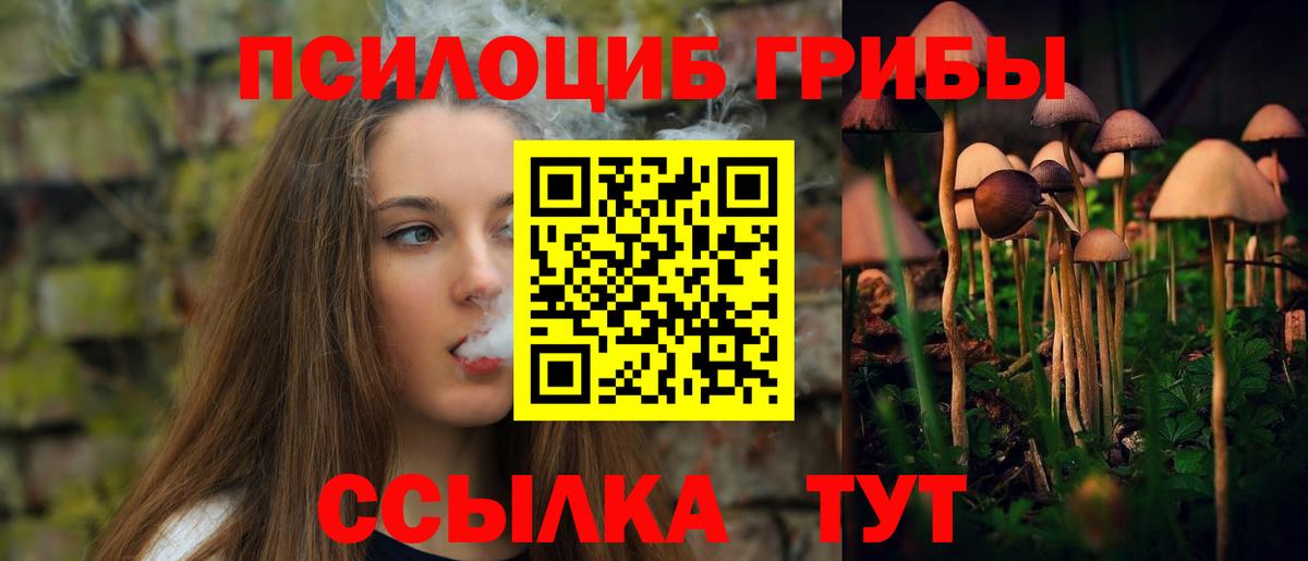 Фролово  Псилоцибиновые грибы мухоморы  Псилоцибиновые грибы MAGIC MUSHROOMS  Вход с VPN 