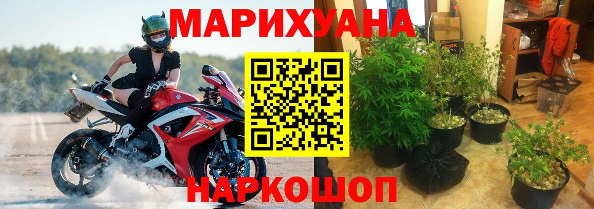 Марихуана сатива Фролово
